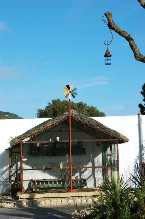 Residencial La Teja *